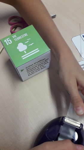 cube developpement durable