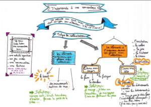 schema attention